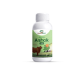 Ashok Gau Ark