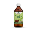 Phudina Gau Ark